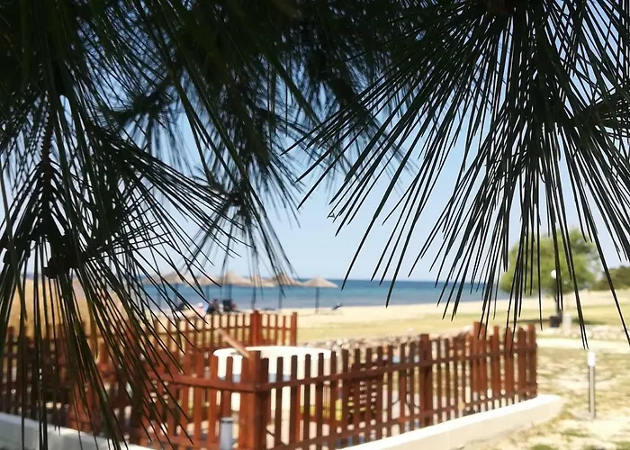 Monopetro Metamorfosi (Sithonia)