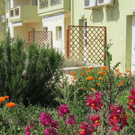 Daire Monopetro Metamorfosi (Sithonia)