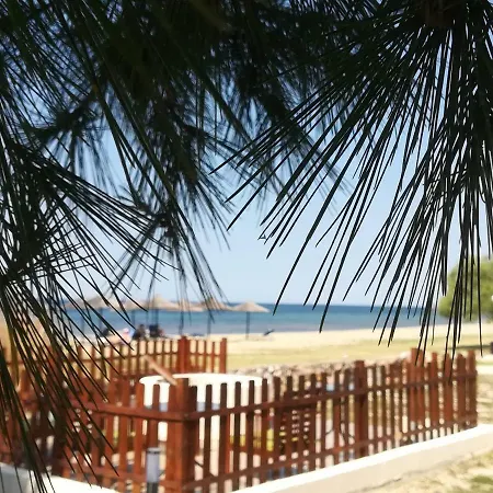 Monopetro Metamorfosi (Sithonia)